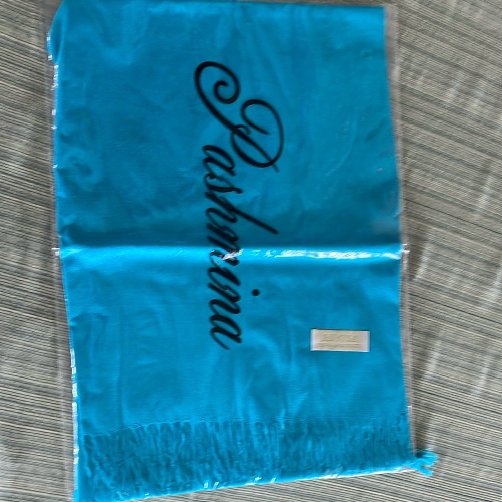 New, Large, beautiful turquoise pashmina. bought in Rome, Italy.